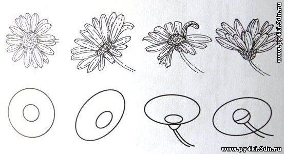 учимся рисовать цветы +на ногтях 